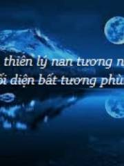 Ái Nguyệt Hồi Phong