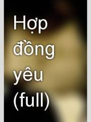 Hợp Đồng Yêu